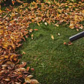 The best cordless leaf blowers 2021