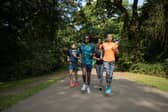 If you’re a keen runner or even just an easy-going ambler, a holiday destination with brilliant running routes and stunning scenery is a must.
