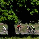 Cyclists ride their bicycles in the sunshine in Richmond Park.