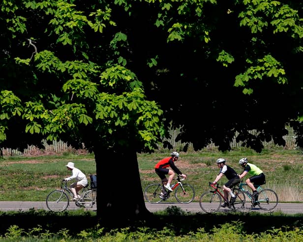 Cyclists ride their bicycles in the sunshine in Richmond Park.