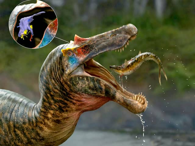 The brains of spinosaurs, the biggest meat-eater to ever exist on our planet, have been unveiled by a group of UK and US scientists.