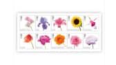 The Royal Mail said the flower collection stamps which feature the silhouette of uncrowned King Charles III are available for pre-order from Tuesday (March 14). 