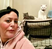 A woman claims she can only afford one meal a WEEK - as she spends most of her money feeding her cats. Yasemn Kaptan  / SWNS