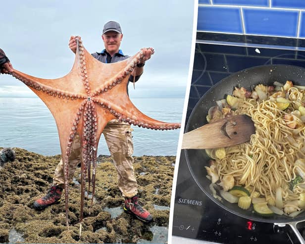 Ziggy Austin with the seven foot octopus at Hopes Nose near Torquay, Devon and the octopus-based stir fry. 