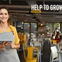 Help To Grow scheme set to match thousands of small businesses with volunteer mentors