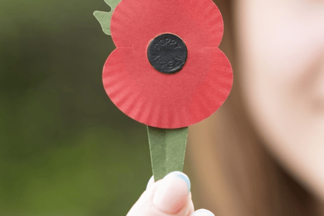 The new plastic-free poppy (Photo: Royal British Legion) 