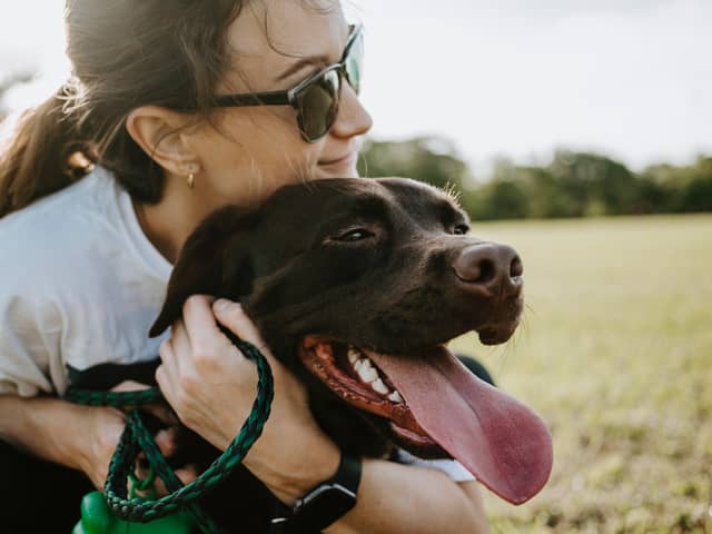 Dogs and humans enjoy a special bond