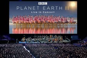 Planet Earth II Live on tour (photo: Justin Anderson Copyright BBC NHU 2016)