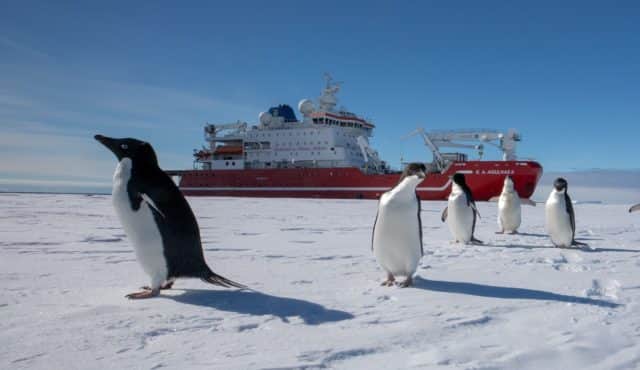 Endurance22 preparatory expedition (photo: Falklands Maritime Heritage Trust)