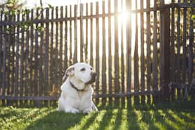 A dog owner has been fined £750 for allowing their dog to poo in their own garden