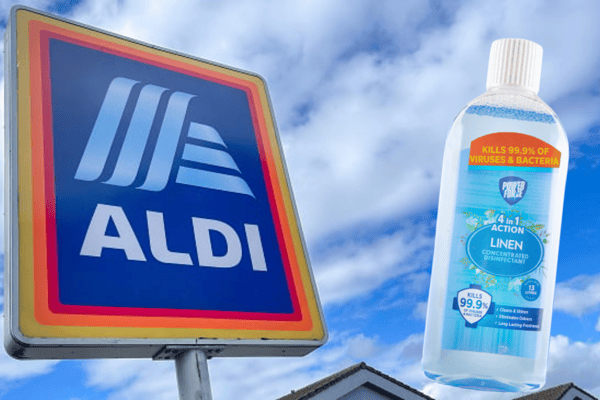 TikTok star shares 5 spring cleaning hacks using 89p Aldi product