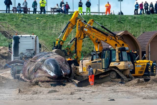 Dramatic pictures show a huge eight-hour operation deemed the largest of its kind to move a 30-tonne whale carcass after it beached itself on a Yorkshire beach
