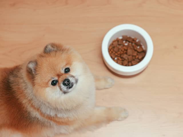 What kind of food can humans share with dogs? Some cupboard staples you can use to improve your pet's diet