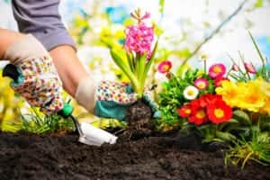 Growing your own bunch of flowers in the garden is a simple way to help the climate crisis (Credit: Shutterstock)