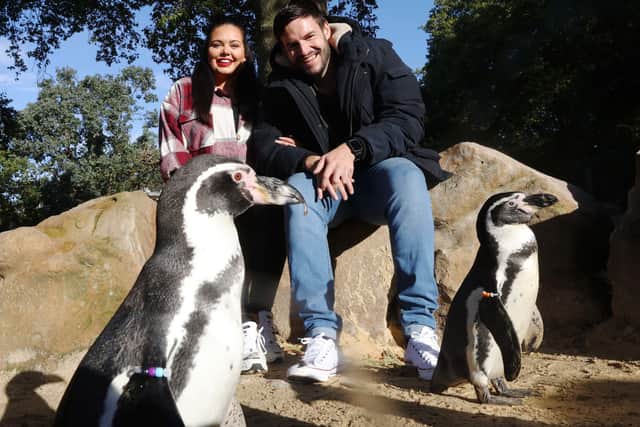 Celebrity Scarlett Moffatt and partner Scott Dobinson enjoy a visit to meet the penguins at ZSL London Zoo, part of their fun day out to celebrate The National Lottery's Days Out initiative, which is offering Lotto players £25 off entry to hundreds of attractions and experiences across the UK to encourage everyone to enjoy fun days out this autumn.Visit www.NationalLotteryDaysOut.com