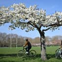 Cyclists in the park,