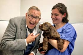 Sussex spaniel Elton, who has recovered from paralysis, with veterinary physiotherapist Holly Finelli and master dog trainer Graeme Hall