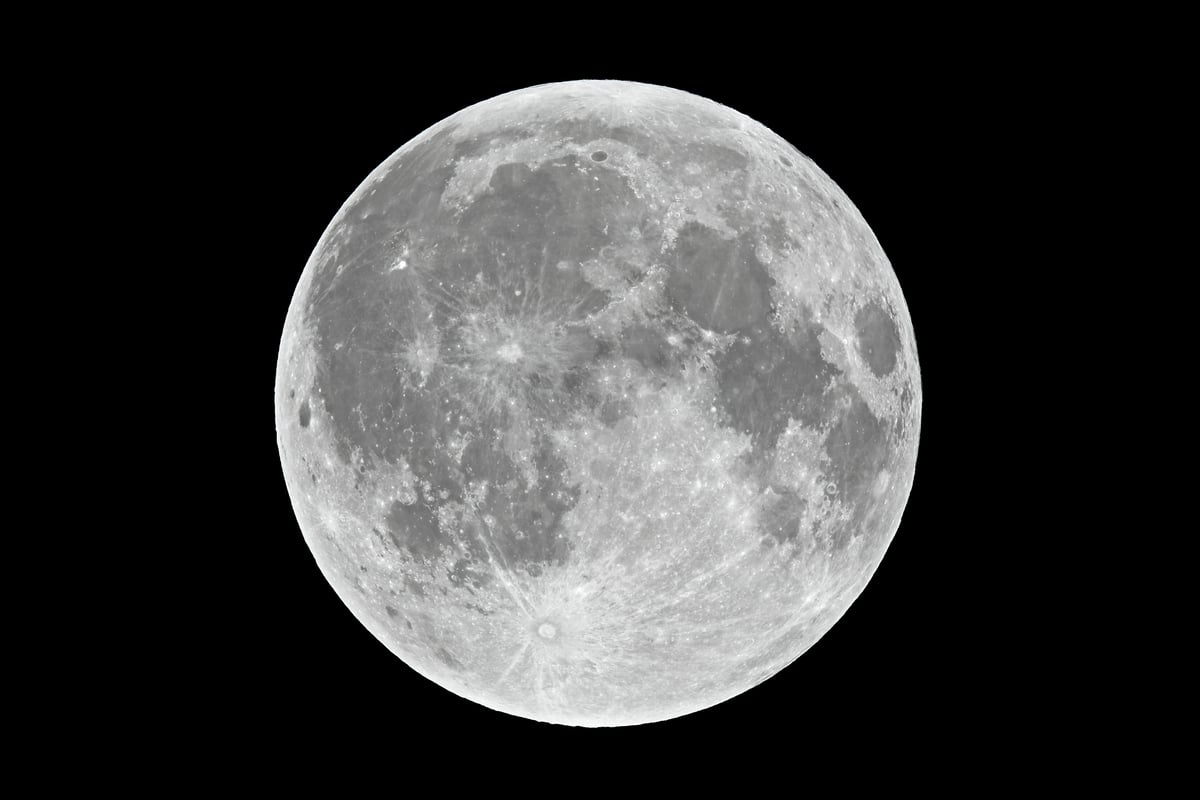 Strawberry moon reborns online