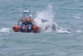 RNLI heroes rescue stranded humpback whale.