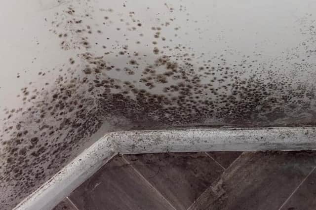 Mould in the family's home.