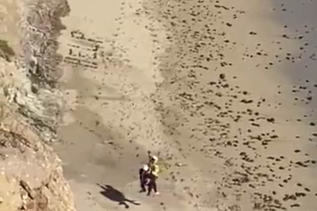 Surfer rescued from beach after spelling “Help” on the sand.