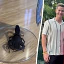 the scorpion that John Gray and Jodie Daly bought back from Mexico.