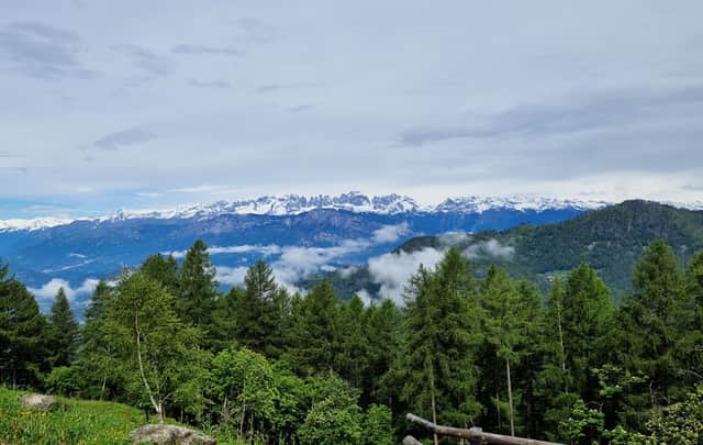 View of the Brenta Dolomites during foraging. Credit: NW