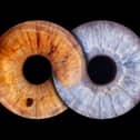 Eyeconic captures the beauty of eyes through high-definition iris imagery