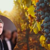 Celebrity vineyards that you can visit around the world - from Brad Pitt to Sting (Photo: Adobe Stock / Getty Images)