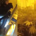 Man hurls soil at police as they find cannabis farm in raid.