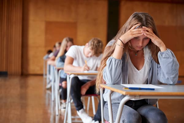 It is now likely GCSE maths and science students will not need to remember formulas for their exams until at least 2027 (Photo: Adobe Stock)