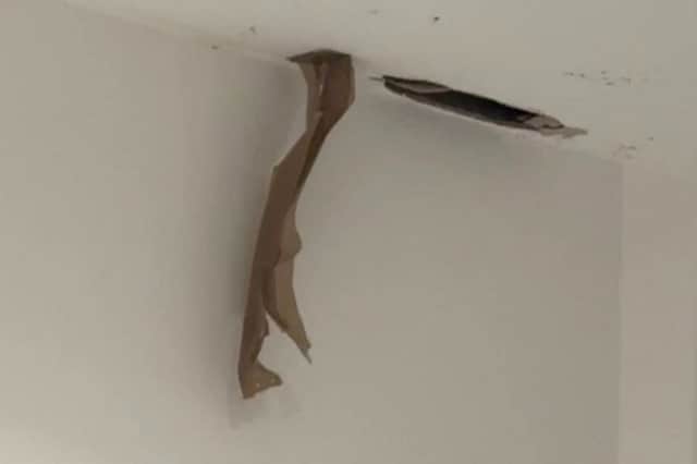 Rodents chewed through Claire Johnson’s ceiling above her bed during the night.