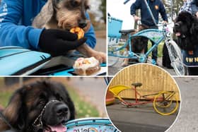 The Woof Truck - 'rusty old bike' (inset) and what it looks like now.
