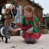 Santa's elves pet the animals on Lowlands Farm, including adorable goats, rabbits and alpacas.