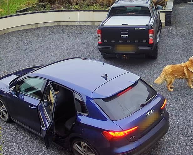 Hilarity ensues as pooch steals turkey crown from car in Armagh, Northern Ireland, leading to a game of chase which ended in woman leaving empty handed as crafty canine refused to give up the bird. 