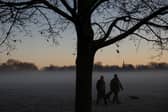 People walk dogs through foggy park.