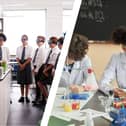 The core science GCSEs cover a wide array of physics, chemistry and biology concepts