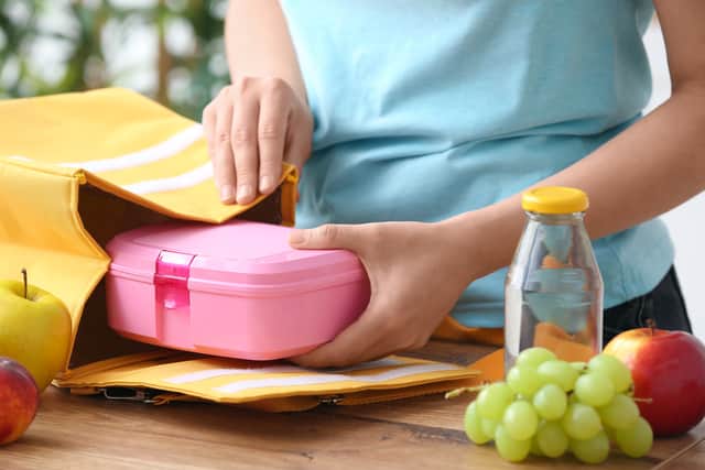 9 healthy foods to put in your child’s packed lunch according to the NHS (Photo: Pixel-Shot - stock.adobe.com)
