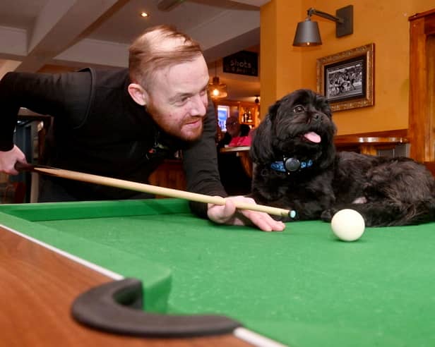 Manager Dan Morris, with Shih Tzu, Rex, who is a firm favourite with locals at The Leaping Wolf in Wolverhampton.  