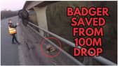 A person preparing to rescue a badger from a 100 metre drop