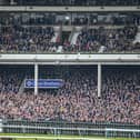 Four racing fans will have the chance to jet off to Benidorm and watch the famous horse racing event