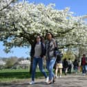 People walk in the park.