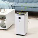 A dehumidifier is a great addition to your home