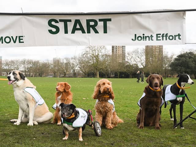 Olympian vet Laura Muir is challenging pet owners to get all dogs out for more exercise.
