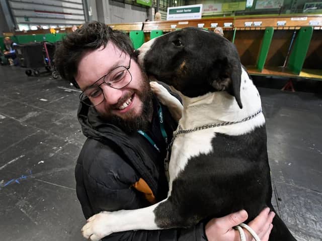 SANDWELL COPYRIGHT NATIONAL WORLD  TIM THURSFIELD -06/03/25First day of Crufts at NEC, Birmingham.Reporter Daniel Walton with Murphy from Dudley.