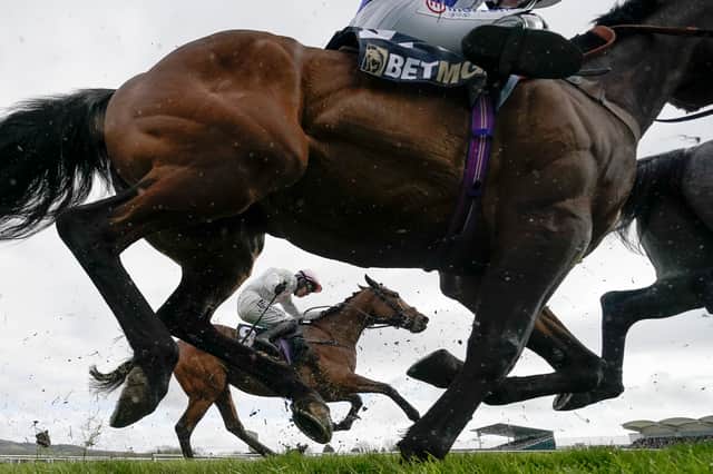Cheltenham 2025 is live on ITV