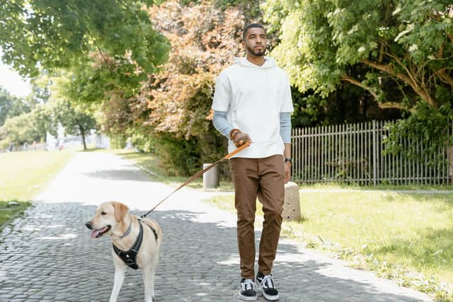 There’s nothing better than taking your dog for a walk.