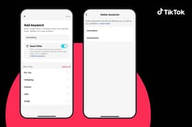TikTok's new Smart Keyword Filters feature