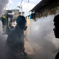 What is chikungunya, the new virus spreading in China? How bad is the outbreak and could it spread to the UK?