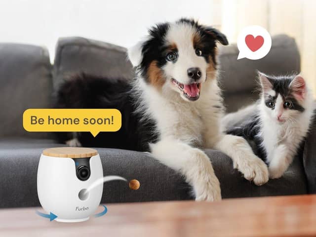 Furbo’s clever camera can even toss out a treat